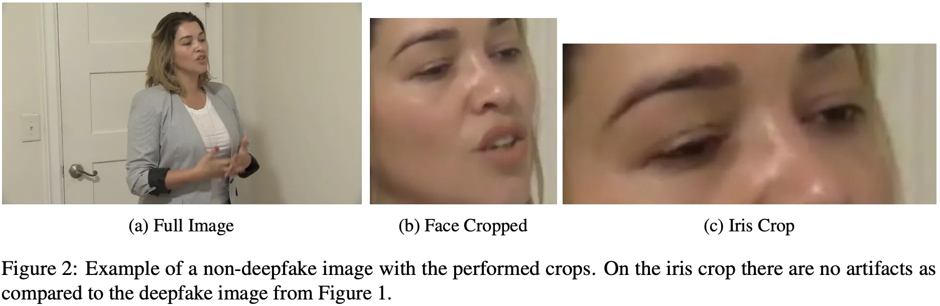 Comparison of full image, face crop, and iris crop preprocessing stages